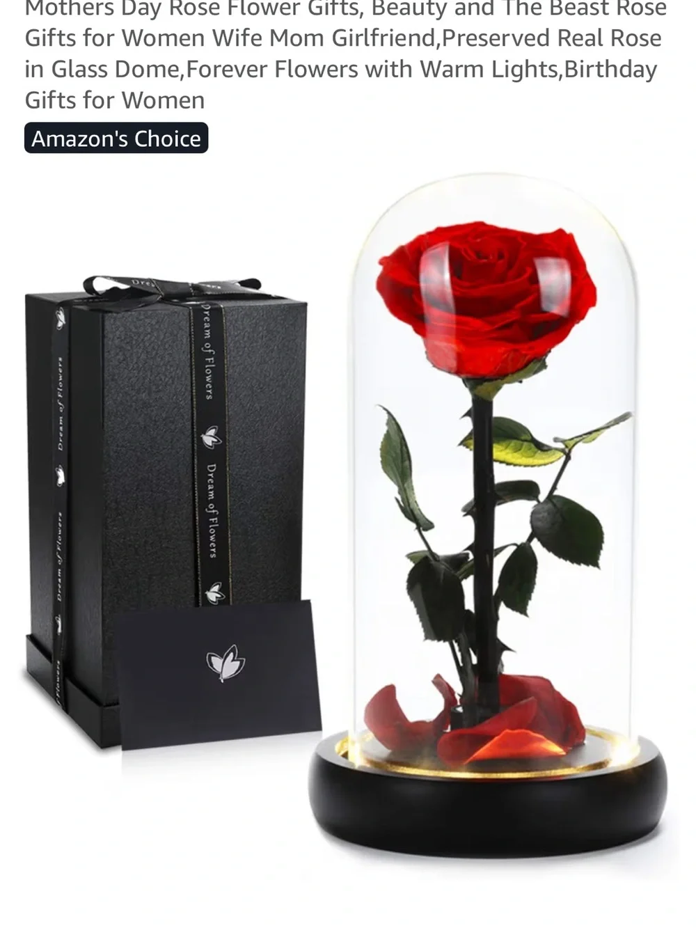 Red rose dream of flowers beauty and the beast